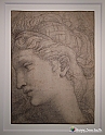 VBS_0021 - Mostra Nel segno di Raffaello